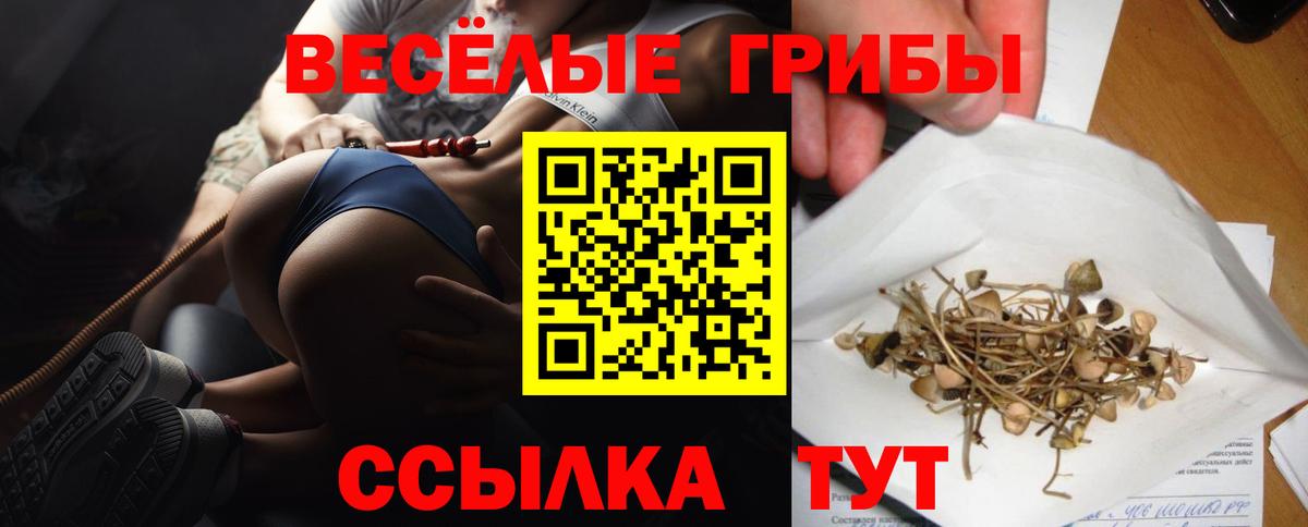 Чистополь  Галлюциногенные грибы прущие грибы  Галлюциногенные грибы MAGIC MUSHROOMS  Вход с VPN 